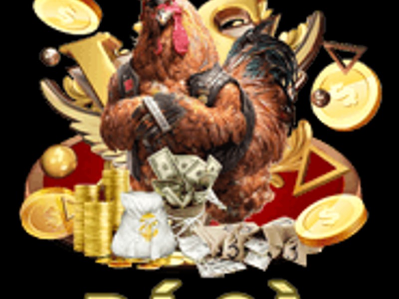 Hoàn trả hàng ngày